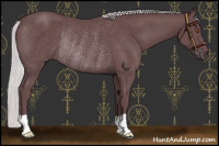 Horse Color:Chocolate Silver Black Chinchilla Rabicano 