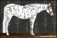 Horse Color:Silver Smoky Black Chinchilla Appaloosa Rabicano