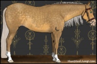 Horse Color:Silver Classic Cream Champagne 