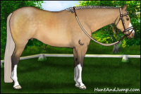Horse Color:Silver Buckskin Dun 