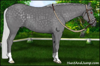 Horse Color:Silver Smoky Black Chinchilla 