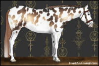 Horse Color:Liver Red Onyx Splash Near Leopard