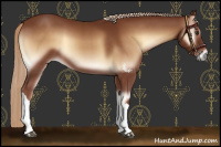 Horse Color:Red Onyx