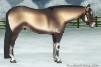 Horse Color:Bay Onyx 