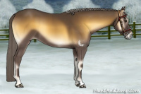 Horse Color:Chocolate Palomino Onyx