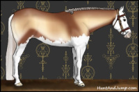 Horse Color:Silver Bay Onyx Sabino Splash