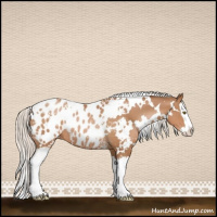 Horse Color:White Spotted Silver Brown Pearl Splash Blanket Rabicano 