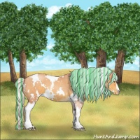 Horse Color:Painted Watercolor White Spotted Silver Bay Pearl 