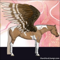 Horse Color:Silver Buckskin Dun Tobiano 