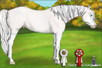Horse Color:Silver Smoky Creme Sabino Splash 