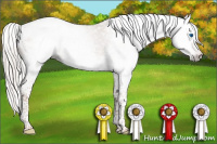 Horse Color:Gray Silver Classic Champagne Splash Tobiano 