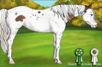 Horse Color:Silver Smoky Black Splash Tobiano Varnish 