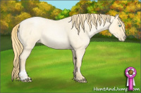 Horse Color:Buckskin Roan Pearl  and Buckskin Roan Pearl 