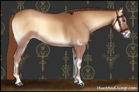 Horse Color:Red Onyx 