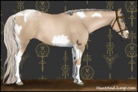 Horse Color:Chocolate Palomino Pearl Tobiano Frame  and Chocolate Palomino Pearl Tobiano Frame 