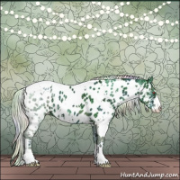 Horse Color:Nacre Watercolor White Spotted Silver Black Chinchilla Ice Sabino Appaloosa 