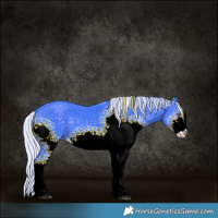 Horse Color:Watercolor White Spotted Silver Black Chinchilla Sabino 