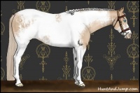 Horse Color:Chocolate Palomino Pearl Tobiano Frame and Chocolate Palomino Pearl Tobiano Frame