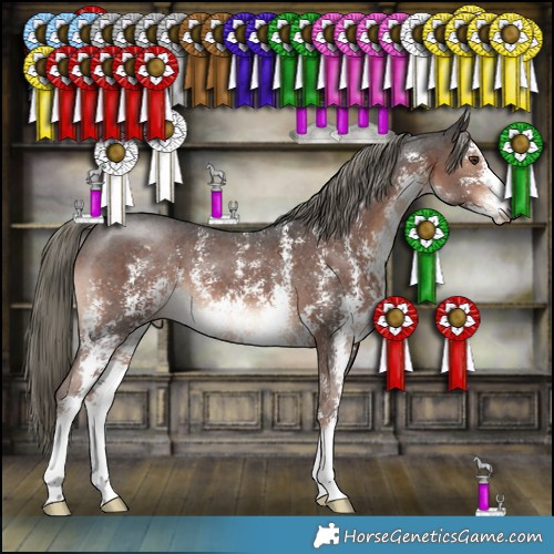 Horse Color:Liver Chestnut Mushroom Sabino 