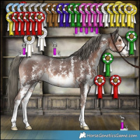Horse Color:Liver Chestnut Mushroom Sabino 