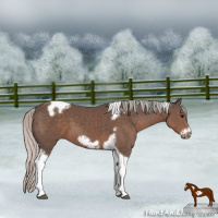 Horse Color:Silver Black Tobiano Frame 