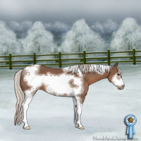 Horse Color:White Spotted Silver Black Tobiano Frame Rabicano 