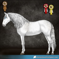 Horse Color:Gray Silver Buckskin Dun Splash Tobiano 