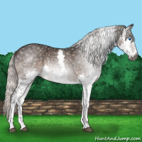 Horse Color:Gray Silver Black Splash Tobiano 