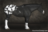 Horse Color:Gray Black Blanket 