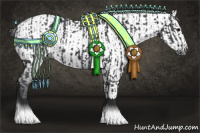 Horse Color:Black  and Gray Black Near Leopard 