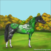 Horse Color:Brown Tobiano 