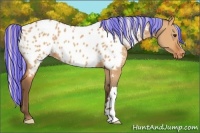 Horse Color:Painted Silver Bay Dun Appaloosa