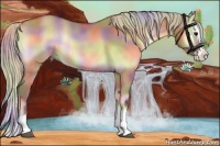 Horse Color:Nacre Silver Bay Onyx Sabino Splash Rabicano 