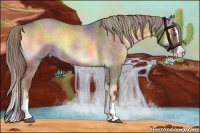 Horse Color:Nacre Chocolate Palomino Roan Onyx Sabino Splash 