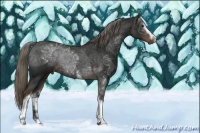 Horse Color:White Spotted Liver Chestnut Mushroom