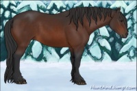 Horse Color:Brown 
