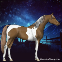 Horse Color:Chocolate Palomino Tobiano 
