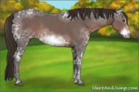 Horse Color:Liver Chestnut Ice Sabino Frame