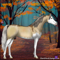 Horse Color:Chocolate Palomino Dun Splash