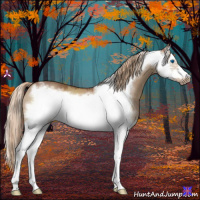 Horse Color:Red Dun Roan Splash Frame Rabicano 