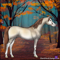 Horse Color:Liver Red Dun Onyx 