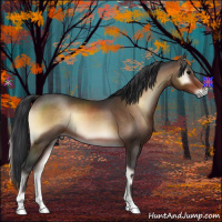 Horse Color:Brown Onyx 