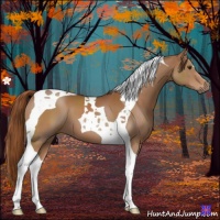Horse Color:Chestnut Tobiano
