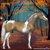 Horse Color:White Spotted Silver Smoky Black Tobiano 