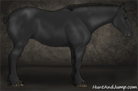 Horse Color:Gray Black 