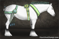 Horse Color:Gray Black Appaloosa 