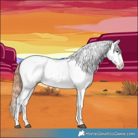 Horse Color:White Spotted Bay Dun Tobiano Appaloosa 