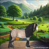 Horse Color:White Spotted Bay Roan Dun 