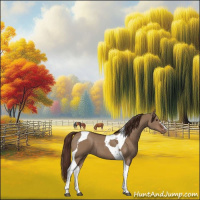 Horse Color:Liver Red Dun Tobiano Varnish 