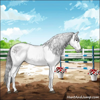 Horse Color:Gray White Spotted Bay Tobiano 